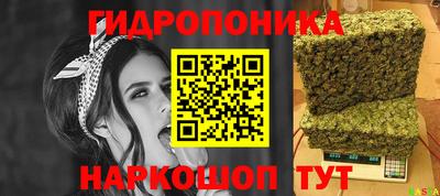 МДПВ Янаул