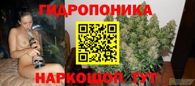 дмт Ярославль