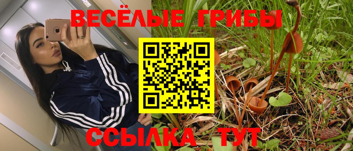 Дубна  Псилоцибиновые грибы Magic Shrooms  Вход с VPN 